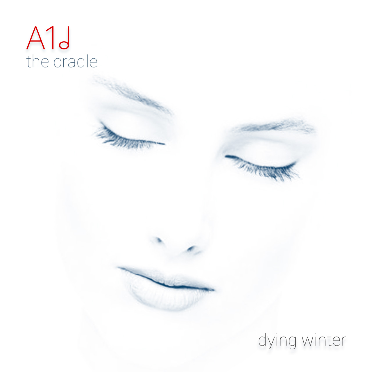 The Cradle